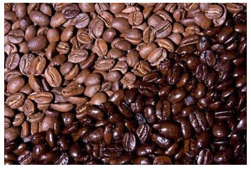 Medium / Dark Roast